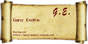 Ganz Endre névjegykártya